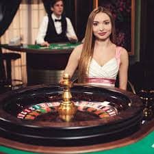 z8slot game sections — slots, live casino, sports betting and fish games on mobile